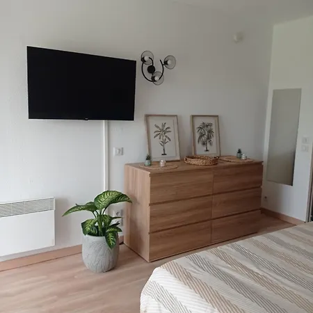 T1 Et T2 - Les Hameaux De Camargue Apartment Arles